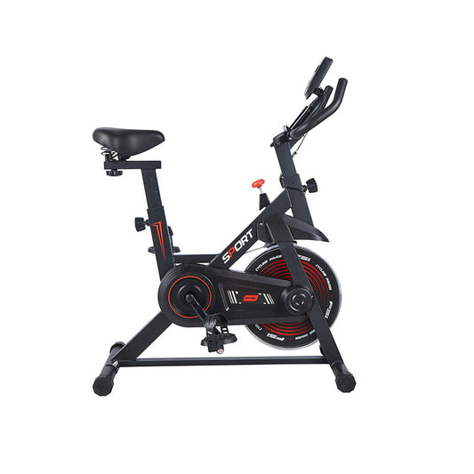B-READY Sports Exercise Bike Indoor Silent Home Trainer Gym