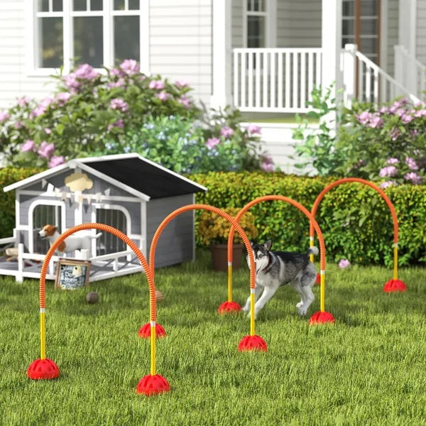 B-READY 4 Piece Dog Agility Course Backyard Set , Carry Bag
