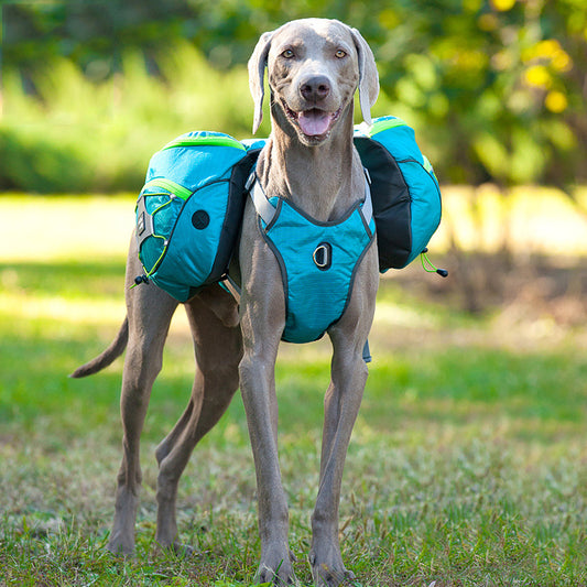 B-READY Pet self backpack B-PREPARED 2026