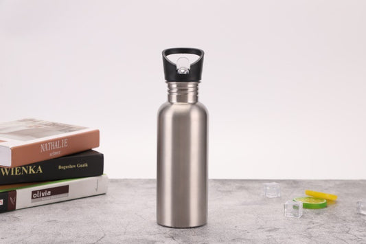 Portable sports cold water bottle