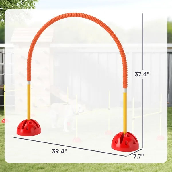 B-READY 4 Piece Dog Agility Course Backyard Set , Carry Bag