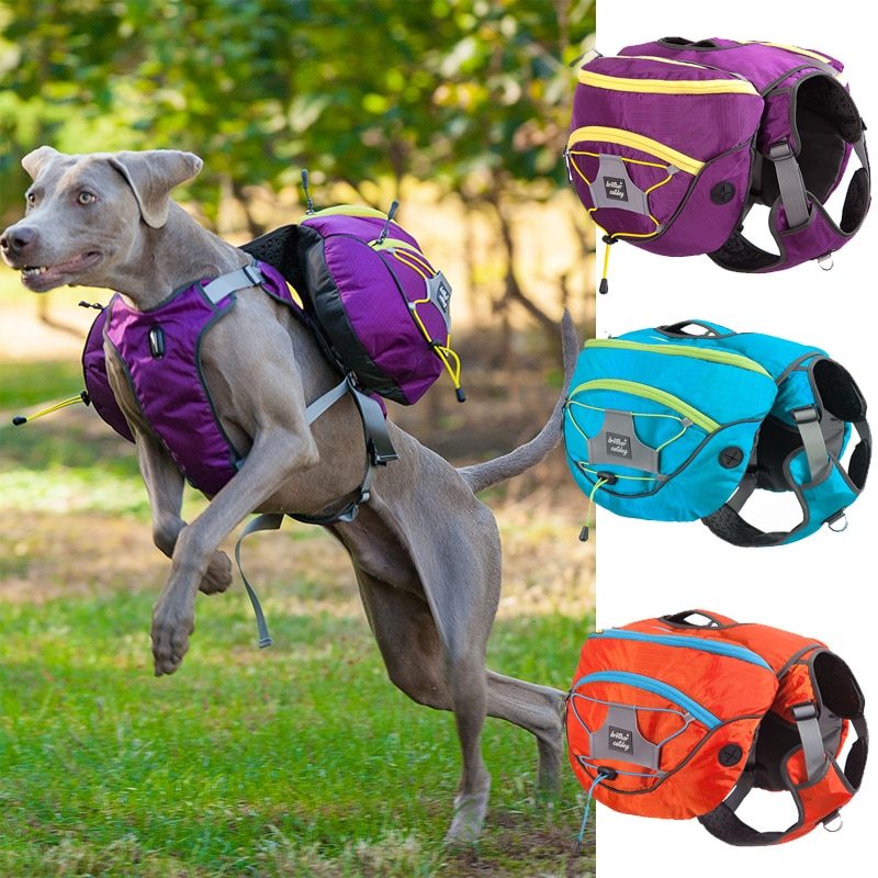 B-READY Pet self backpack B-PREPARED 2026
