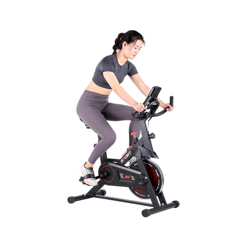 B-READY Sports Exercise Bike Indoor Silent Home Trainer Gym