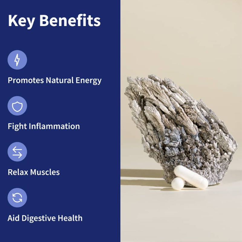 B-READY BSYS Magnesium Supplements Sleep & Anxiety Relief Aid  Muscle Relaxation Support  Heart Health & Blood Sugar Balance Formula  Cognitive Function Enhancement  Nighttime Wellness Supplement